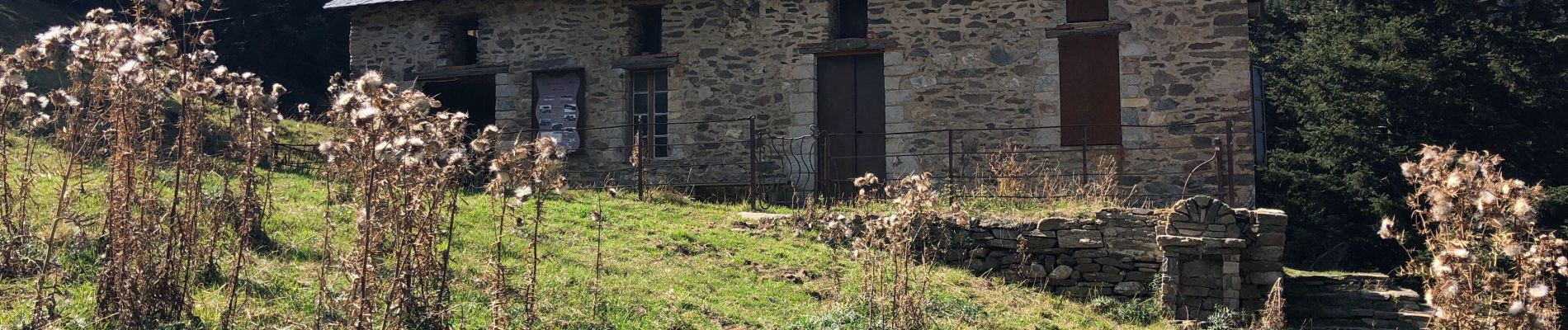 Tocht Stappen Fillols - FILLOLS à refuge BALAIG avant les Cortalets  - Photo