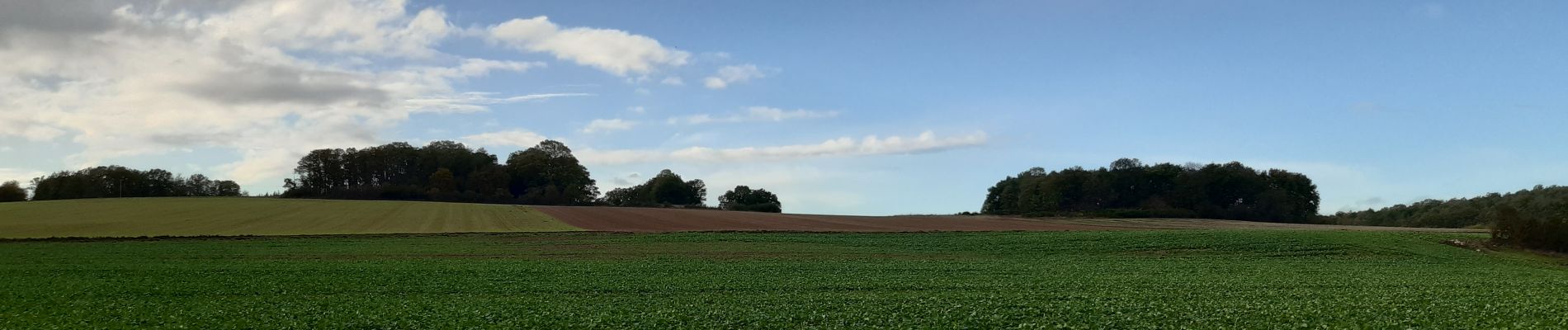 Tour Wandern Les Ventes - Forêt des Ventes - Photo