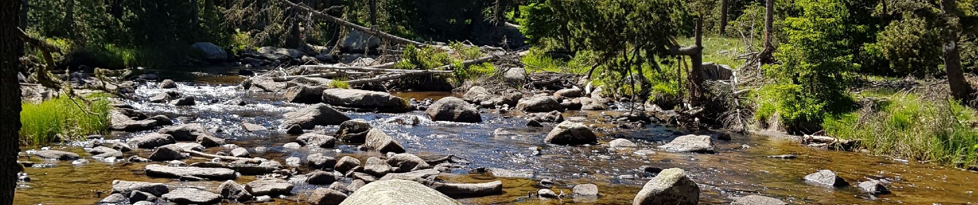 Excursión Senderismo Bolquère -  Bolquère .Petit Canada Pla de Barrès - Photo