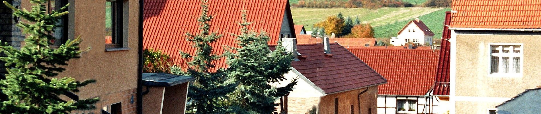 Tour Zu Fuß Sangerhausen - Sangerhausen Lengefeld Morungen - Photo