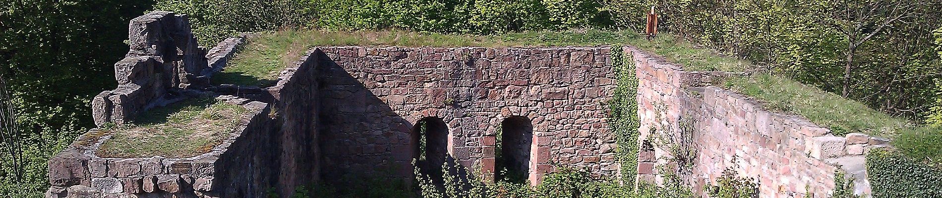 Randonnée A pied Herbolzheim - Bleichheim Hubertuswinkel - Vogtskreuz - Photo