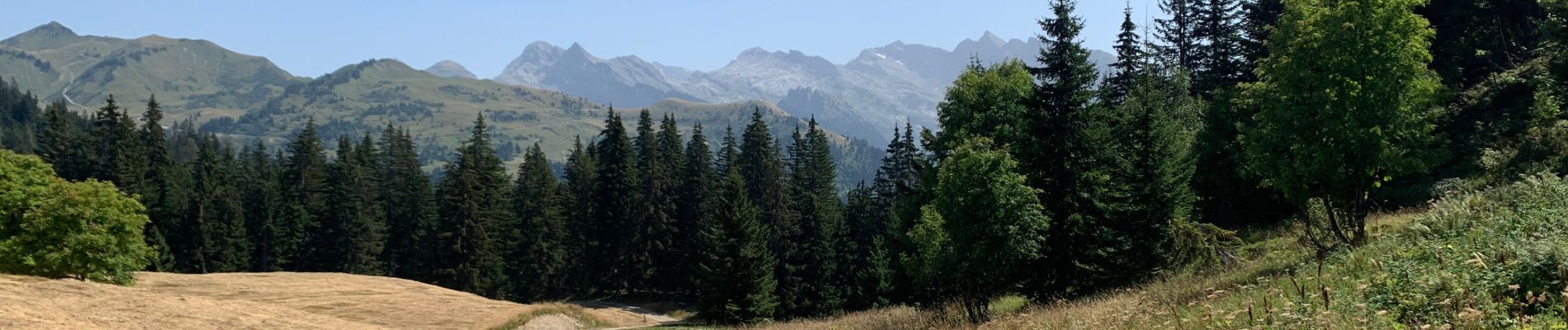 Randonnée Marche Verchaix - Plateau de Loex Myrtilles  - Photo