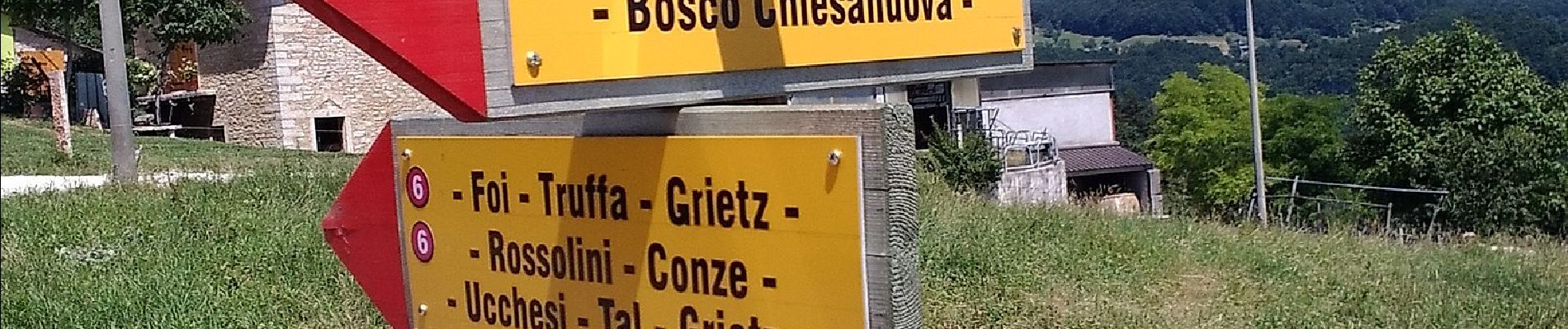 Tocht Te voet Bosco Chiesanuova - Percorso n. 6 - Photo