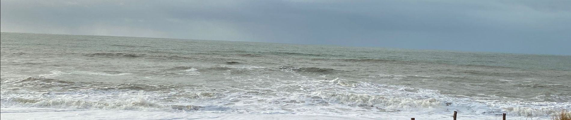 Excursión Senderismo Les Sables-d'Olonne - Balade marais sauvetaire - Photo