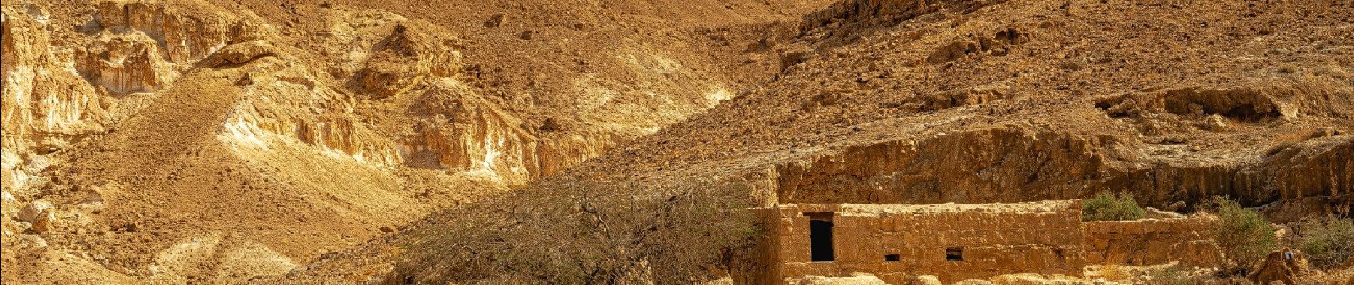 Randonnée A pied Conseil régional de Ramat Negev - IL-17260 - Photo