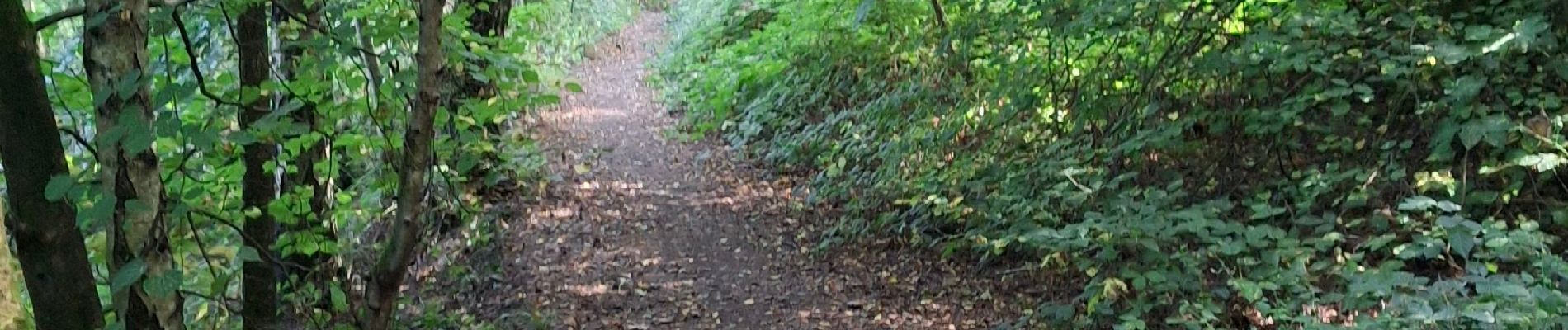 Tocht Stappen Raismes - Raidmes la marre à Goriaux et le terril - Photo