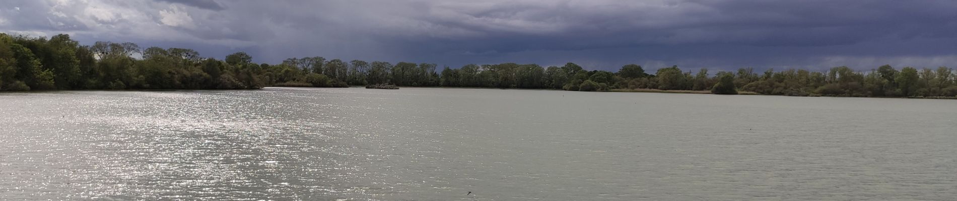 Tocht Stappen Vauhallan - abbaye de vaihallan aux étangs de saclay - Photo