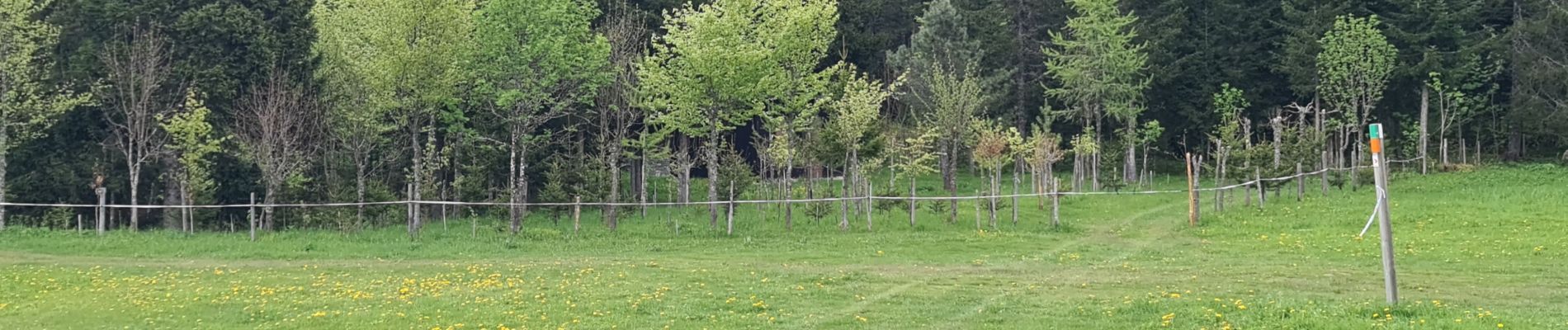 Tocht Stappen Autrans-Méaudre en Vercors - autrans - Photo