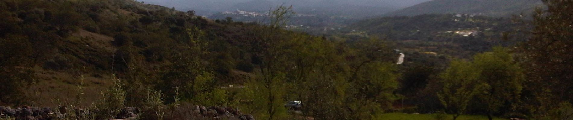 Percorso A piedi Salir - Rocha da Pena - Photo