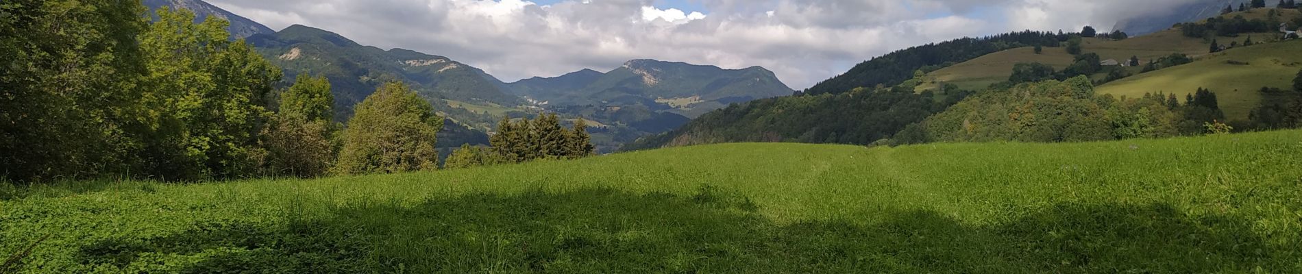 Trail Walking Saint-Pierre-d'Entremont - boucle de saint aime plus - Photo