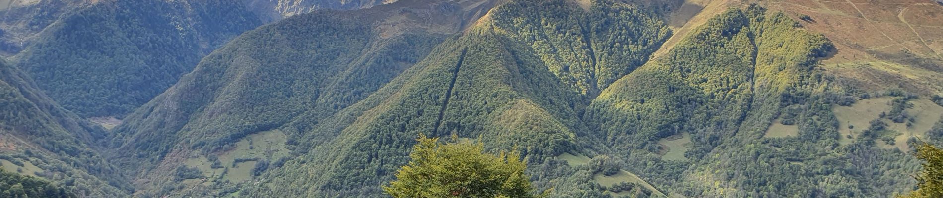 Tour Wandern Bonac-Irazein - Pic de Courbayran et cabane de Roques - Photo