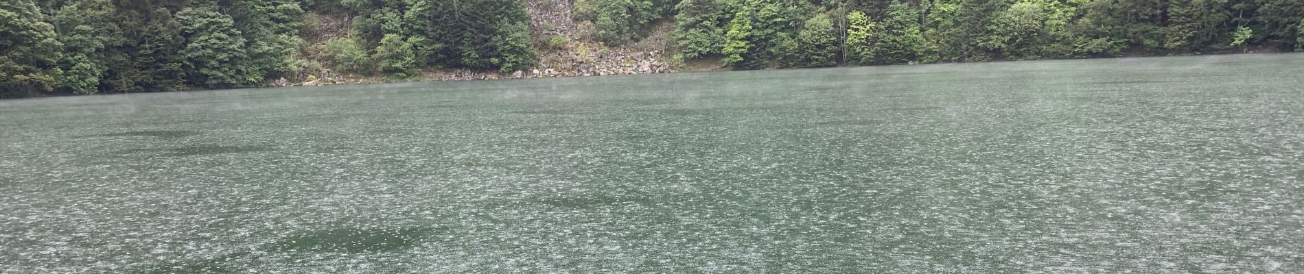 Tour Wandern Rimbach bei Masmünster - Lac des perches - Photo