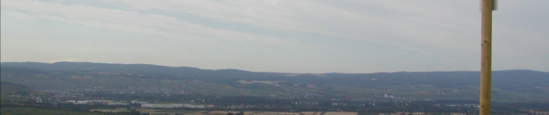 Tocht Te voet Bingen am Rhein - Schönhölle Spelzenberg - Photo