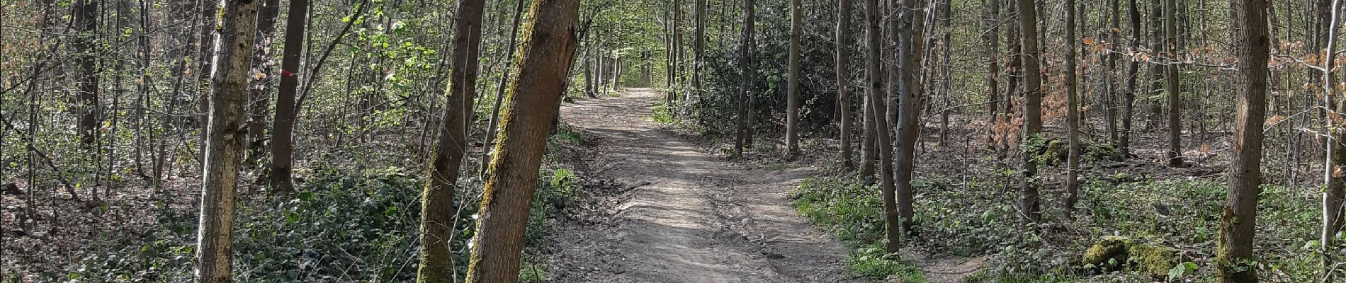 Trail Walking Namur - De Gelbressée à la Meuse - Photo