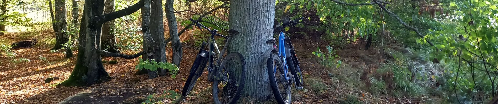 Tour Elektrofahrrad Saint-Clément - sortie vtt 01112022 manonviller - Photo