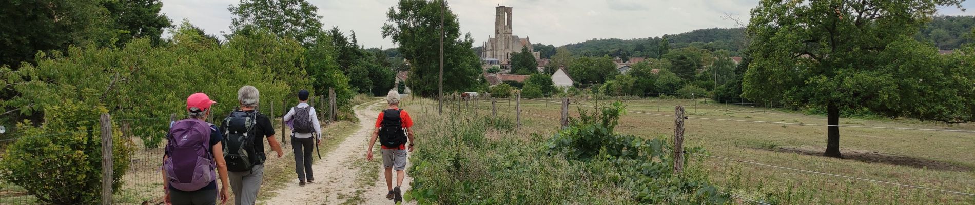 Tour Wandern Montigny-sur-Loing - Montigny sur loing _ Nemours  - Photo