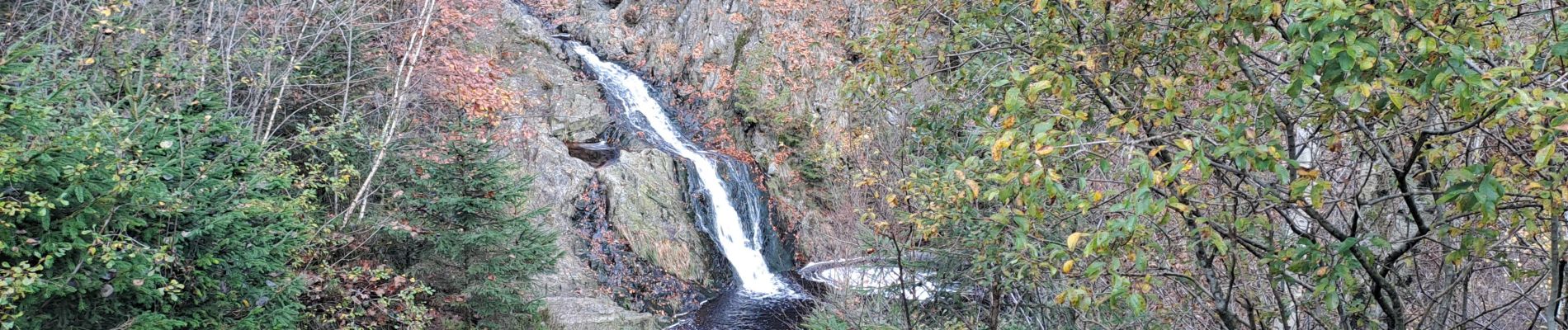 Tour Wandern Malmedy - Xhoffraix - Photo