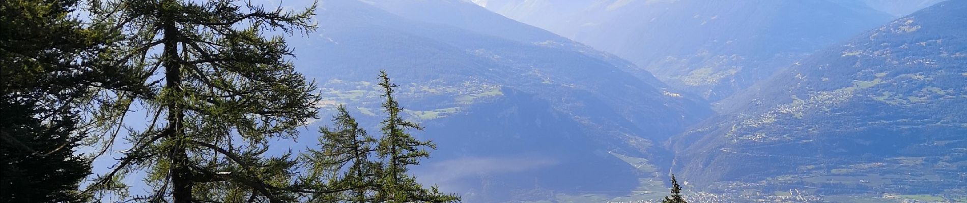 Tocht Noords wandelen Arbaz - la brune - Photo