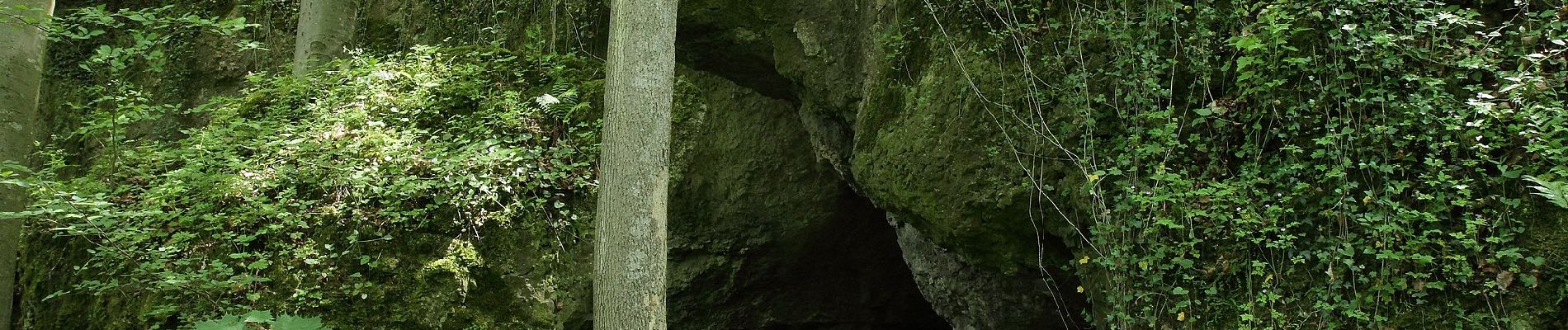 Tocht Te voet Etzelwang - Rundwanderweg 4 Etzelwang - Tabernackel - Rupprechtstein - Photo