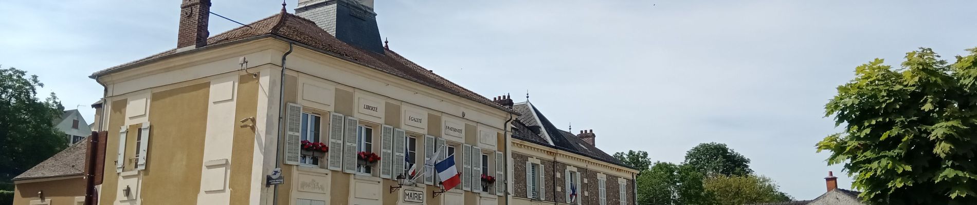 Tocht Stappen Montreuil-aux-Lions - Montreuil-aux-Lions du 20-07-2024 - Photo