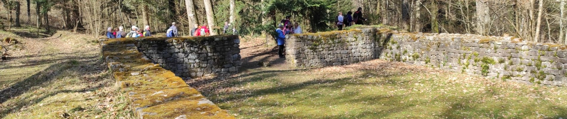 Tour Wandern Sulzmatt - Val du Pâtre  - Photo