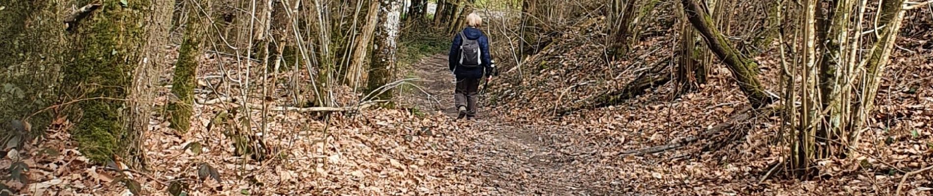 Tocht Stappen Naveil - Mondétour - Photo