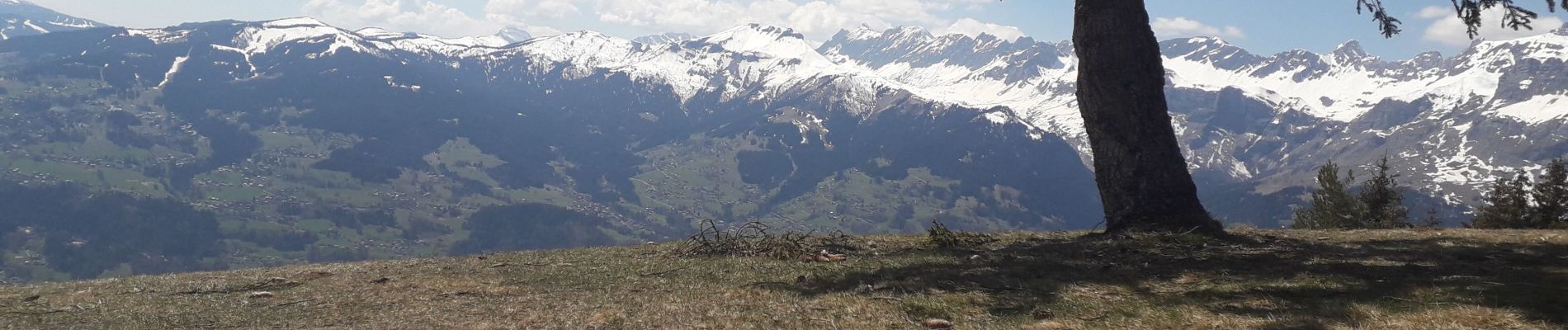 Trail Walking Passy - les chalets de Varan par le Perthuis - Photo