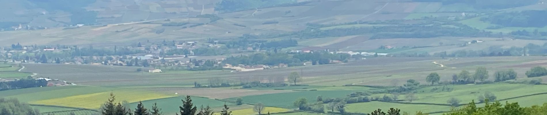 Tour Wandern Chevagny-les-Chevrières - 30.04.2021 - Photo