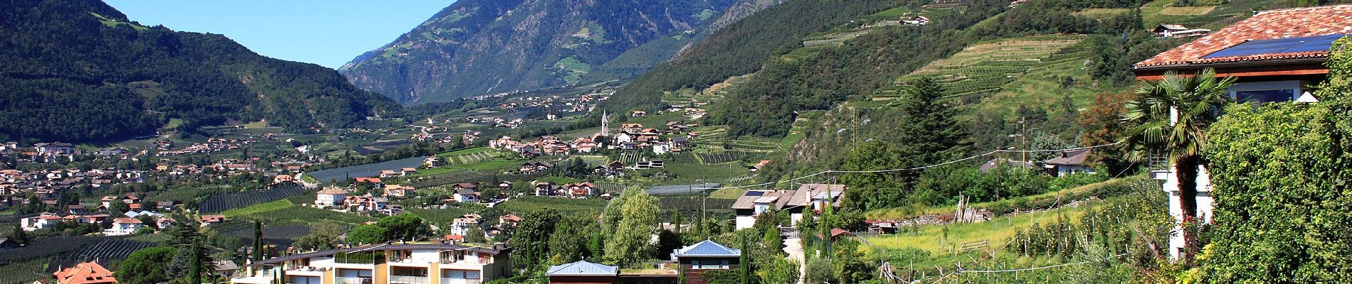 Tocht Te voet Tirol - Tirolo - Weinweg - Photo