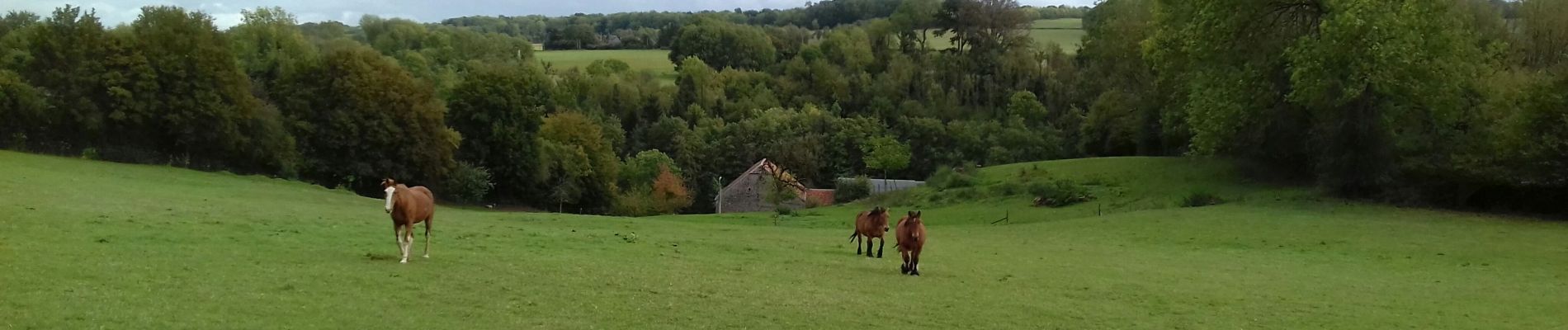 Tour Wandern Marchin - Marchin - Photo