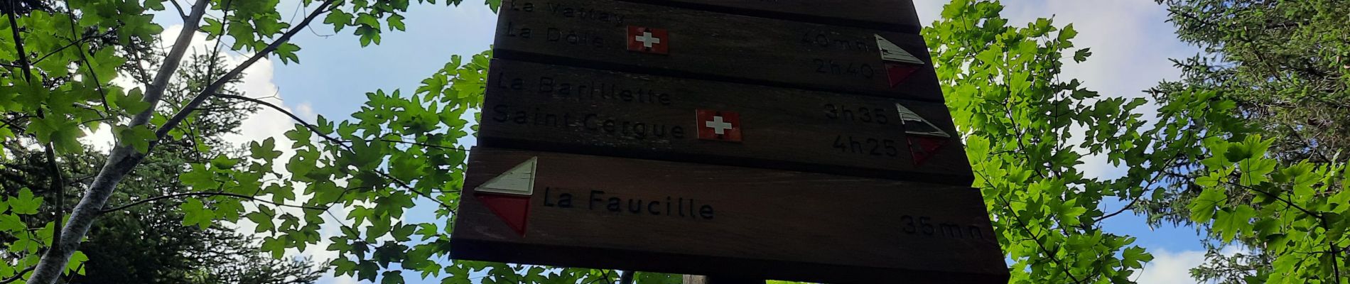 Excursión Senderismo Gex - la Faucille - Notre Dame des Neiges - Photo