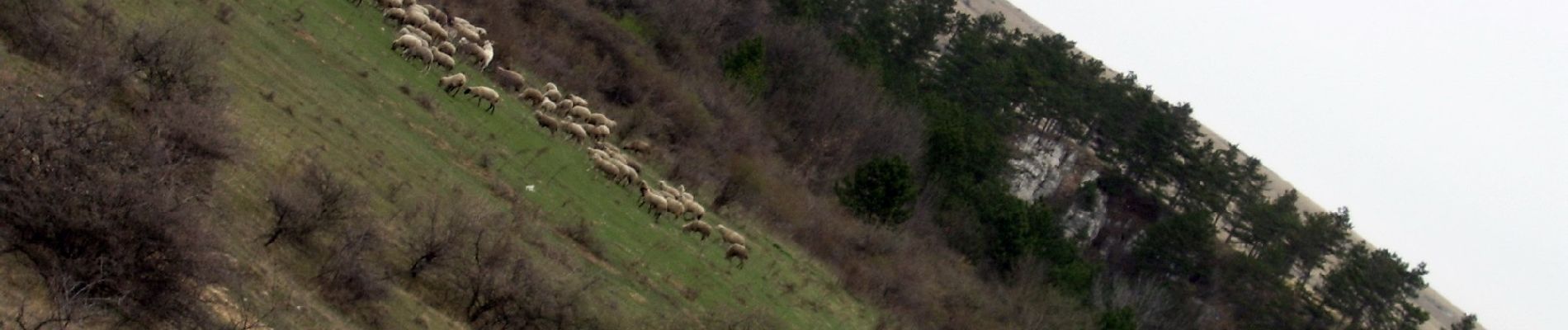 Randonnée A pied Isztimér - P+ (Burok-völgy - Vár-berek - Vár-völgy) - Photo