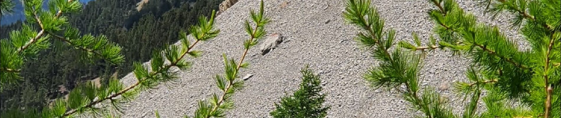 Tour Wandern Ceillac - ceillac col fromage - Photo