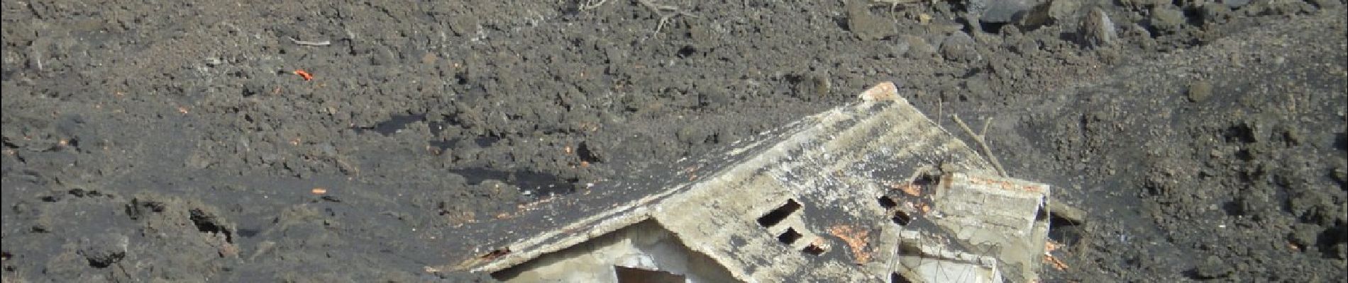 Percorso A piedi Zafferana Etnea - Sentiero delle Ginestre tappa 2 - Photo