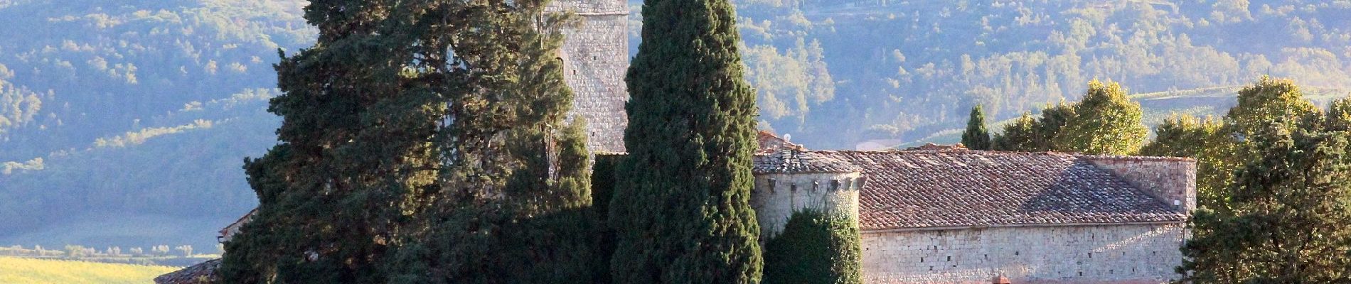 Tour Zu Fuß Gaiole in Chianti - Trekking tra i castelli 11 - Photo