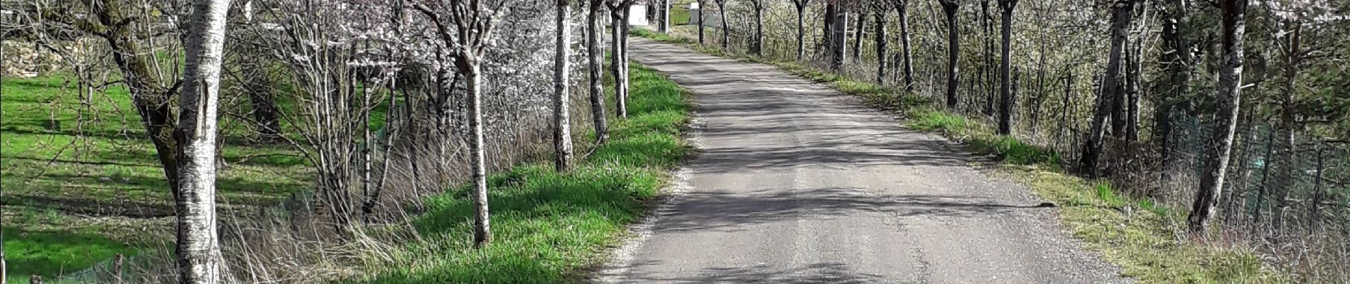 Excursión Senderismo Les Auxons -  13 03 20 - Photo