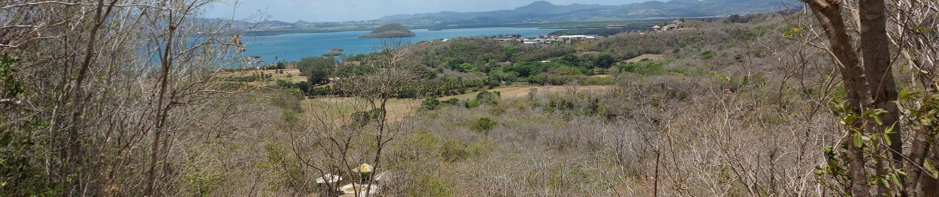 Tocht Stappen Les Anses-d'Arlet - Galoche - Esperance - Photo