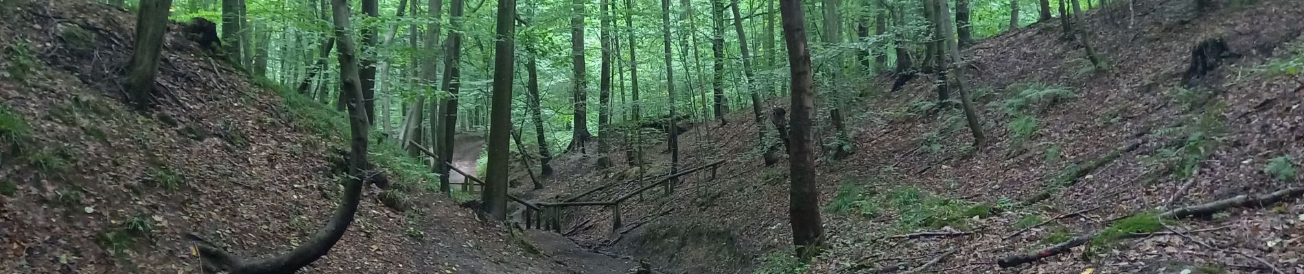 Tocht Stappen Watermaal-Bosvoorde - 2020.09.30.P - Photo