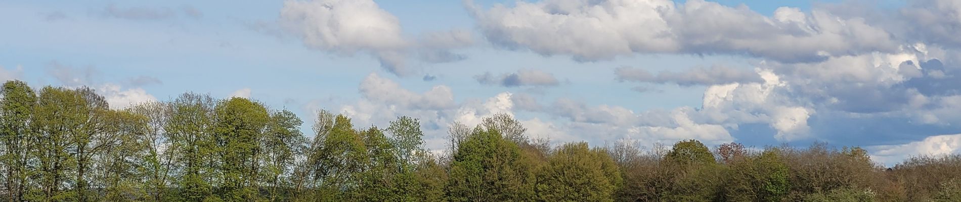 Tocht Stappen Rochefort - rando belvaux 28-04-2023 - Photo