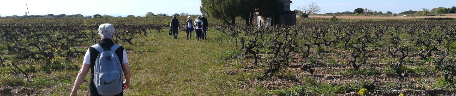 Trail Walking Vauvert - Vauvert le 14 04 2021  - Photo