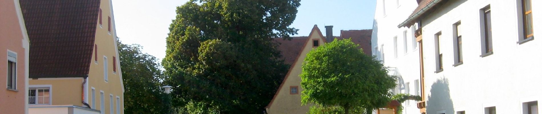 Tour Zu Fuß Spalt - 30 Kirschgartenwanderung - Photo