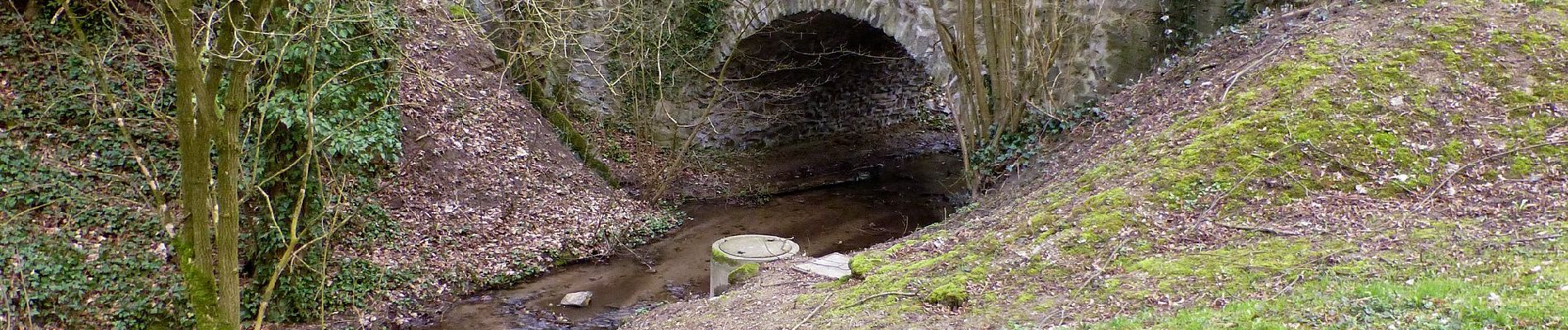 Randonnée A pied Bensheim - Rundwanderweg Bensheim Hochstädten 3: Selterswasserhäuschen-Weg - Photo