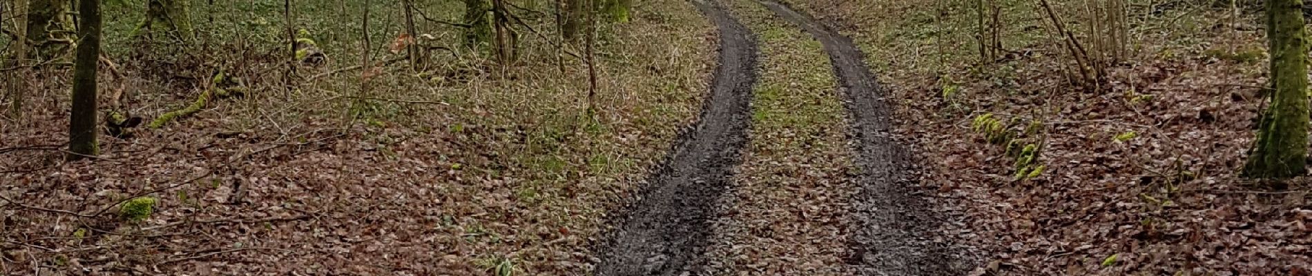 Randonnée Marche Sivry-Rance - Rance-Renlies sud - Photo