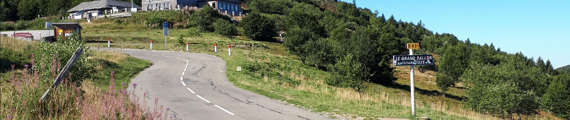 Percorso Marcia Soultz-Haut-Rhin - Grand Ballon - Photo