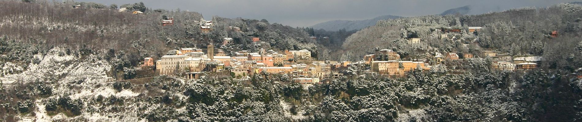 Percorso A piedi Nemi - Le Piagge di Genzano - Monte Cavo - Photo