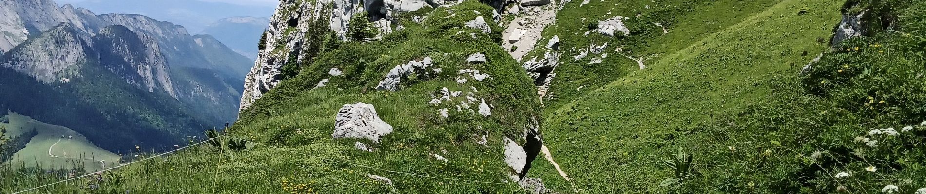 Randonnée Marche Bellecombe-en-Bauges - Dent des portes e Mont Trelod  - Photo