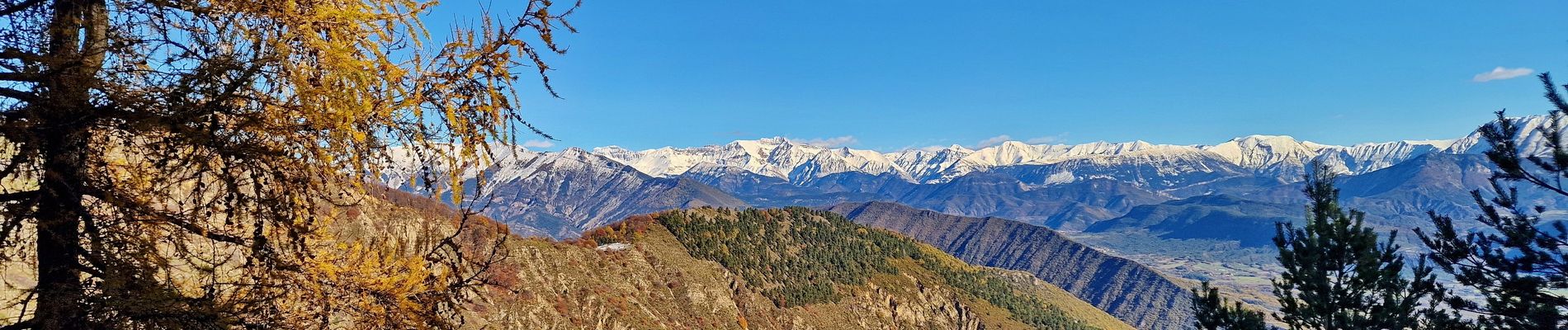 Trail Walking Digne-les-Bains - Sommet-de-la-bigue-en-boucle - Photo