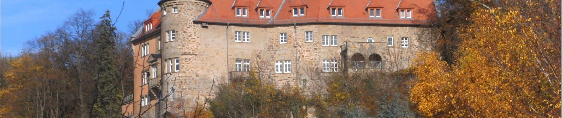 Percorso A piedi Wiesloch - Weinwanderweg Mannaberg - Photo