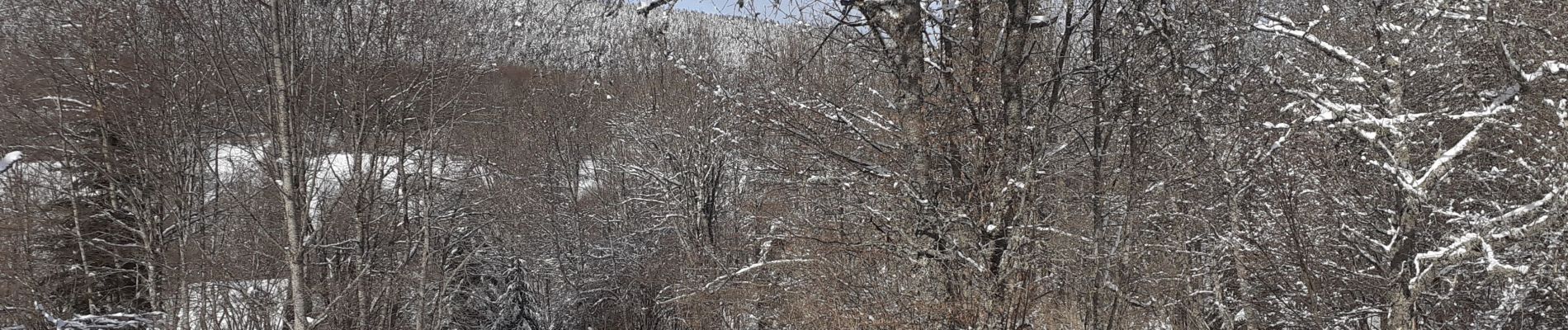Randonnée Raquettes à neige Les Déserts - plainpalais circuit - Photo