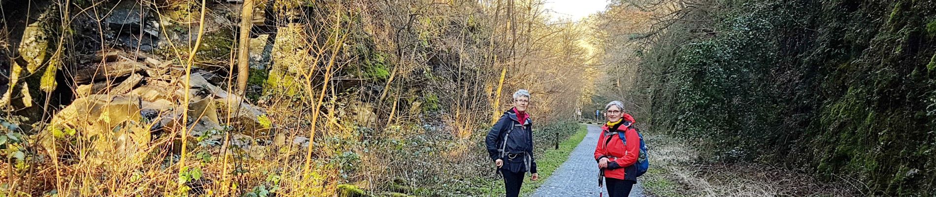 Tocht Stappen Anhée - 2020-01-16 Maredsous 21 km - Photo